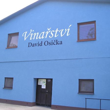 Apartmán Vinařství David Osička Velké Bílovice Exteriér fotografie